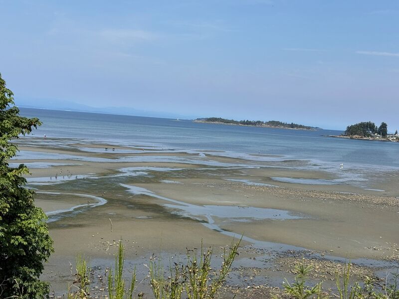 A low-tide beach in Parksville, British Columbia, revealing channels and sandbars